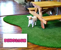 Fake Grass Installed Under School Bench